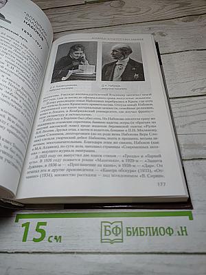 Литература 11 класс Часть II