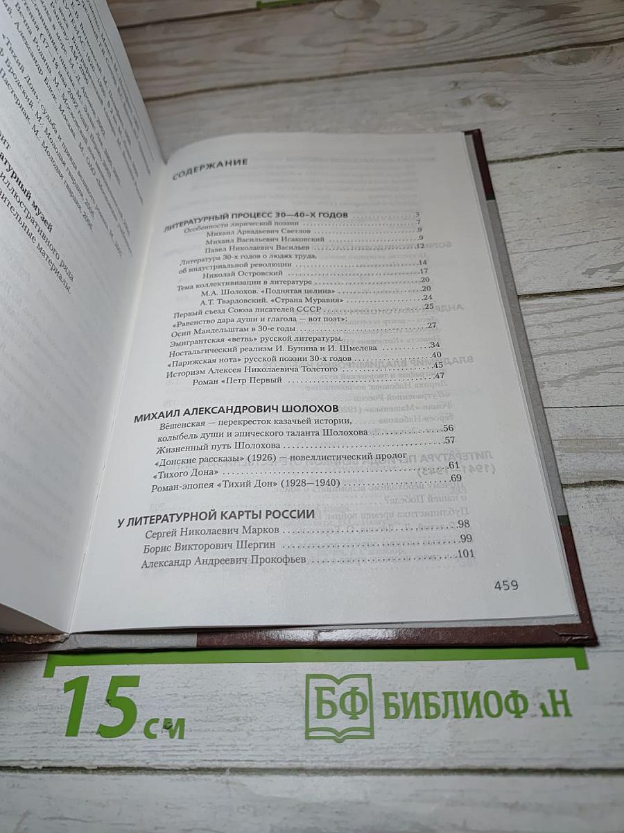 Литература 11 класс Часть II