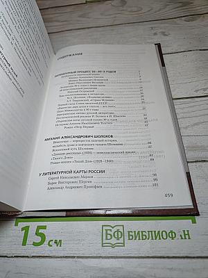 Литература 11 класс Часть II