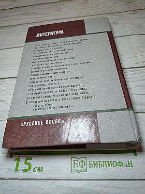 Литература 11 класс Часть II