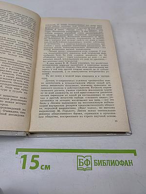 Время-мысль-образ