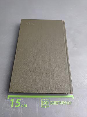 Поэтика русского романтизма