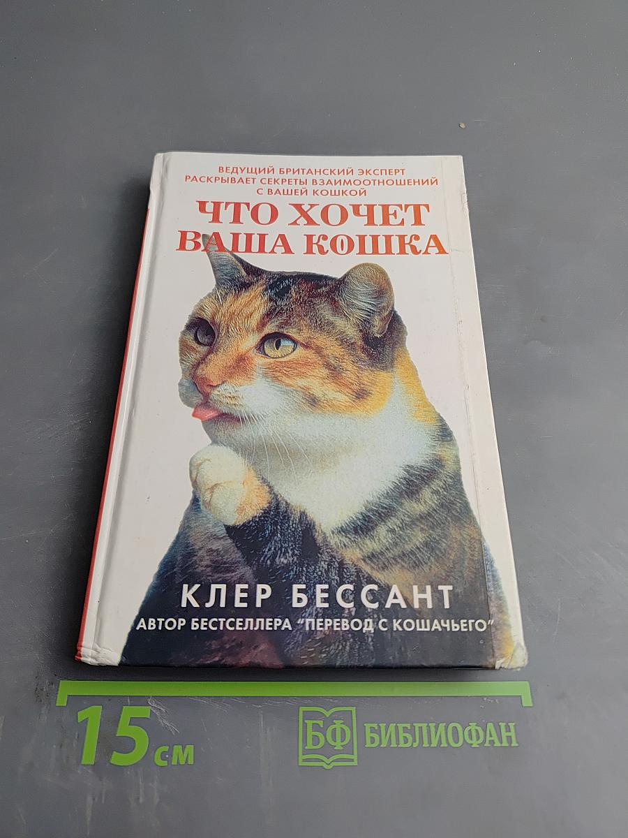 Что хочет ваша кошка