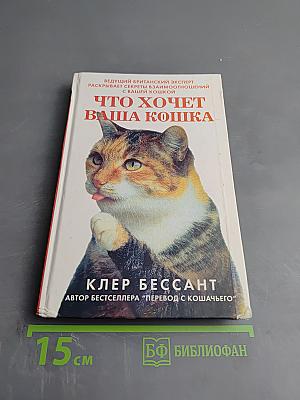 Что хочет ваша кошка