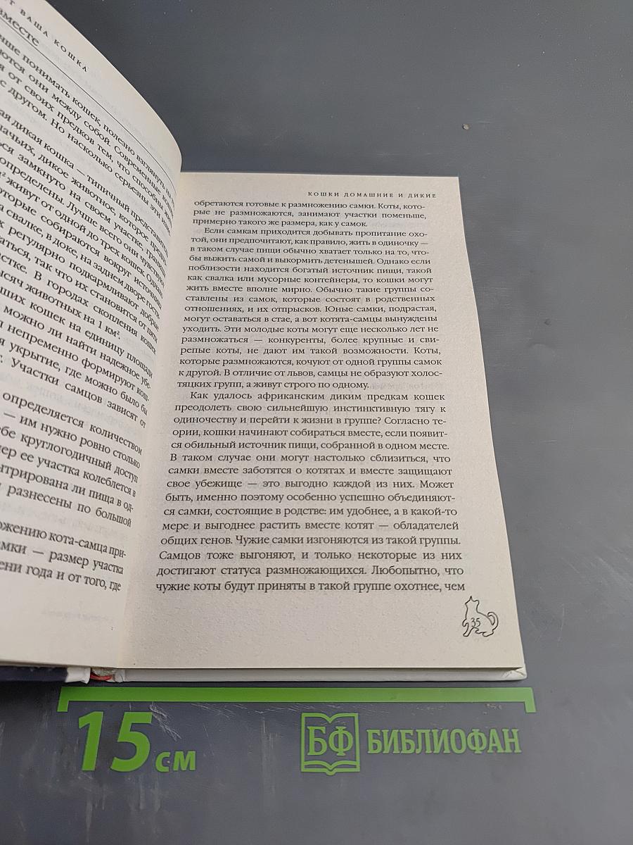 Что хочет ваша кошка