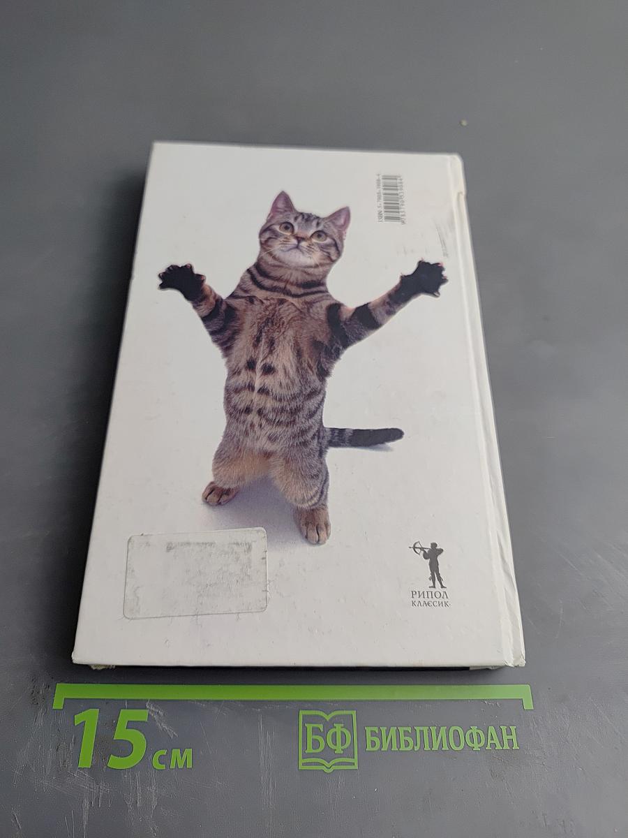 Что хочет ваша кошка