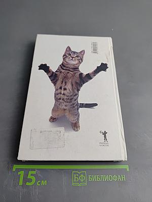 Что хочет ваша кошка