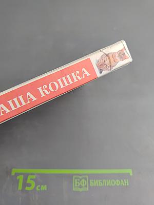 Что хочет ваша кошка