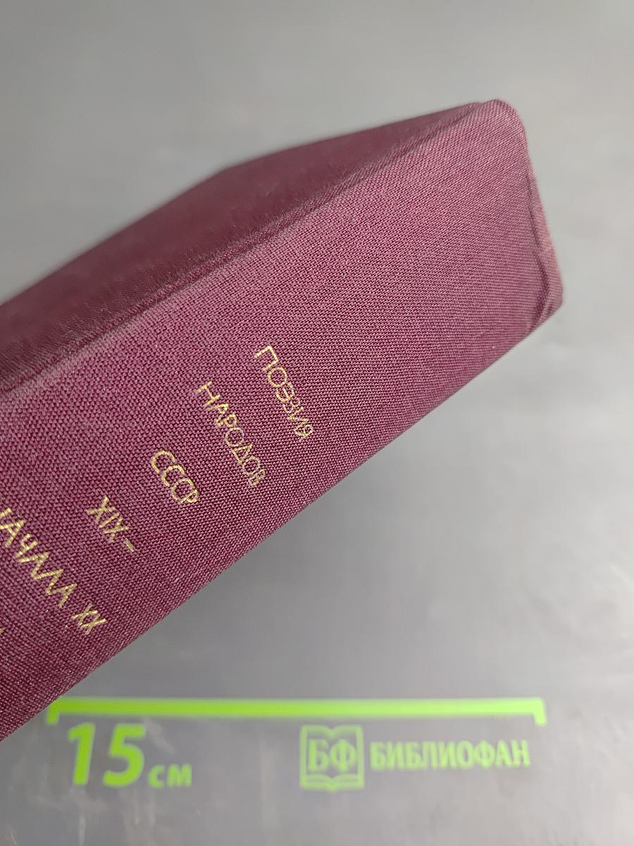 Поэзия народов СССР XIX - начала XX века