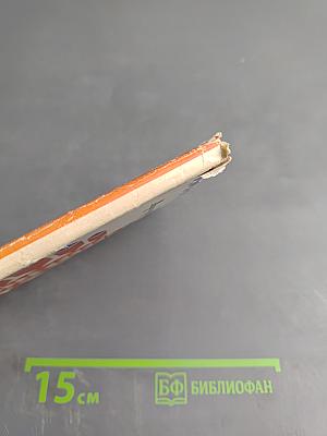 Ветка дуба векового