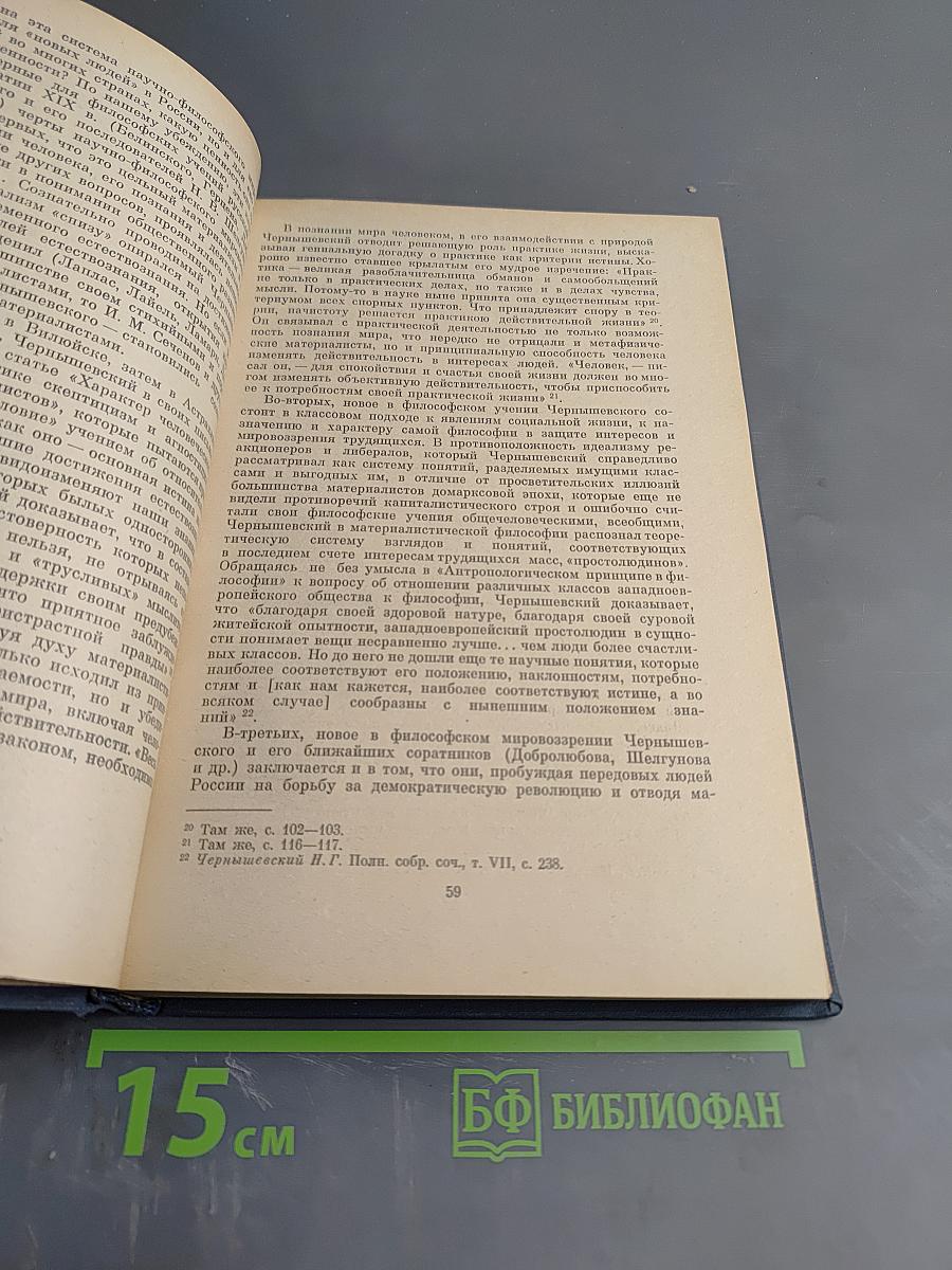 Н.Г. Чернышевский и современность