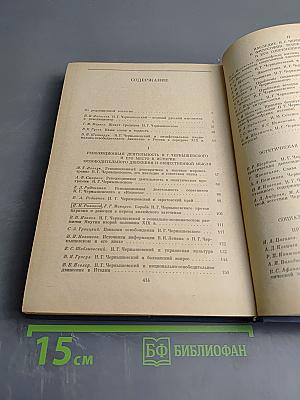 Н.Г. Чернышевский и современность