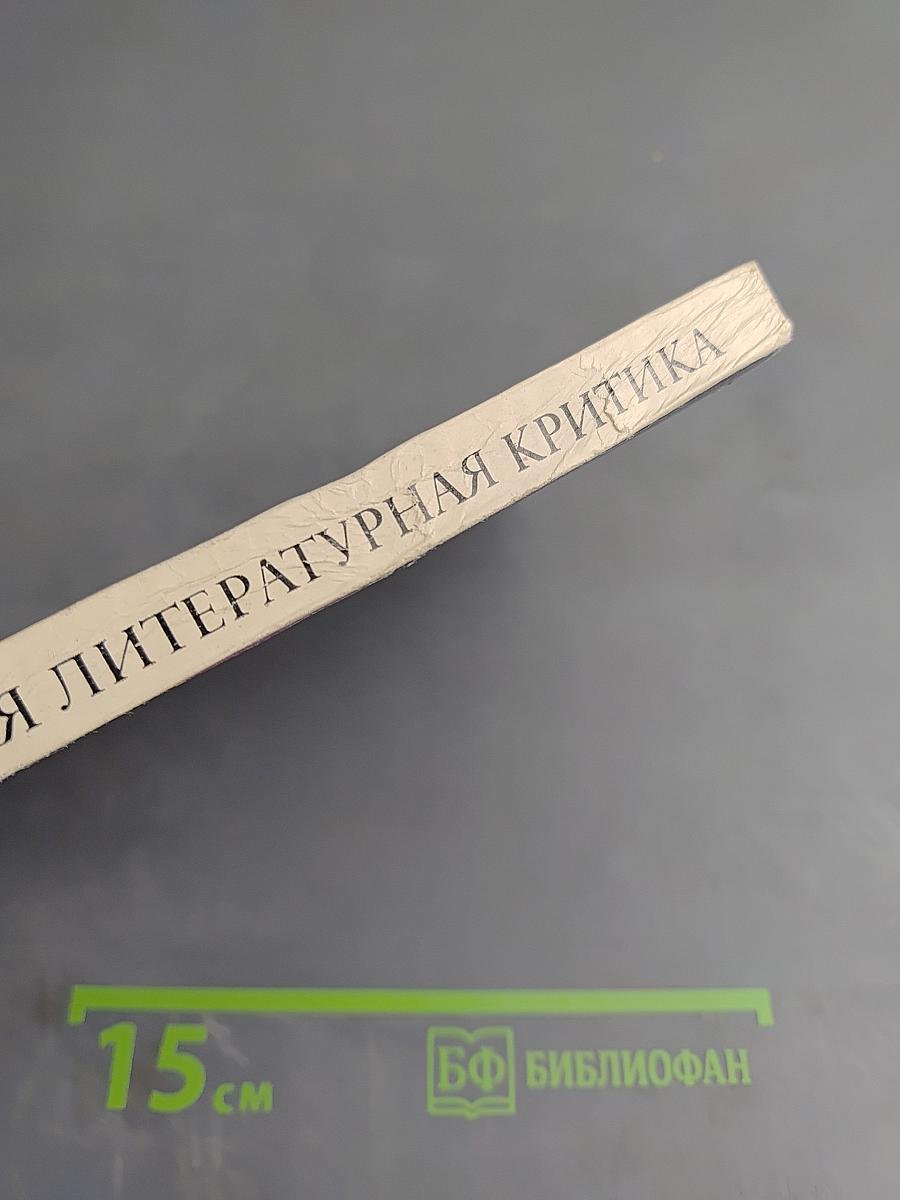 Современная литературная критика. Вопросы теории и методологии