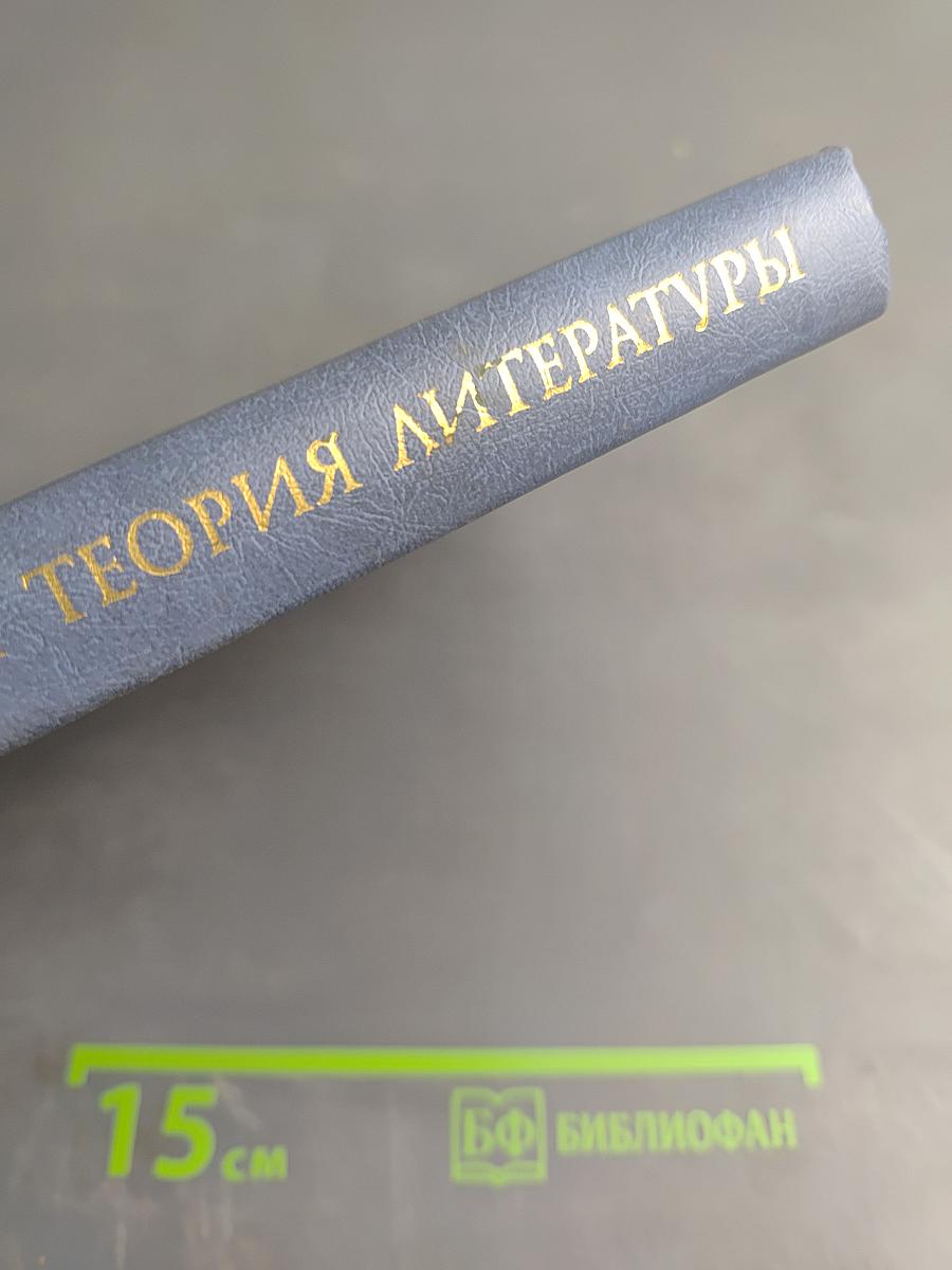 История и теория литературы