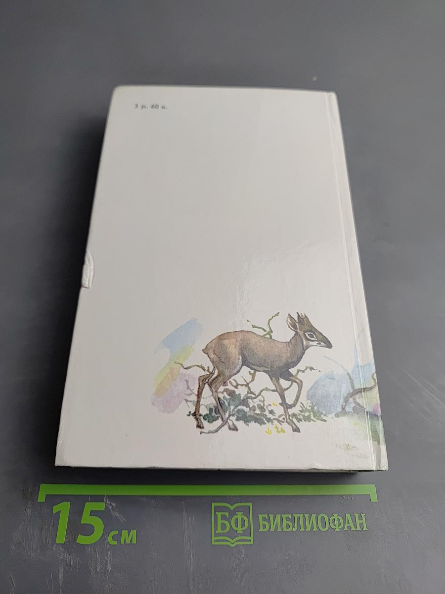 Под пологом пьяного леса