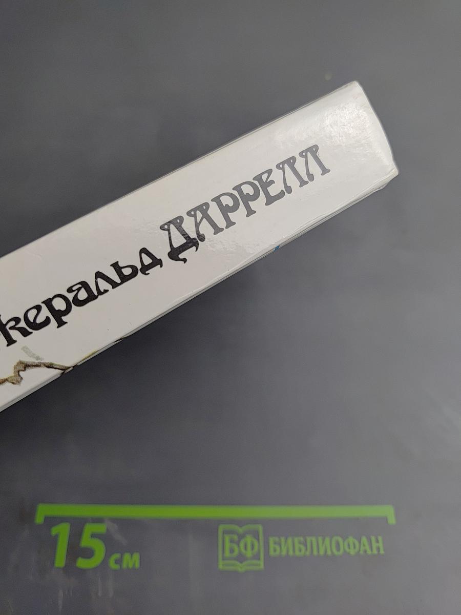 Под пологом пьяного леса