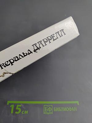 Под пологом пьяного леса