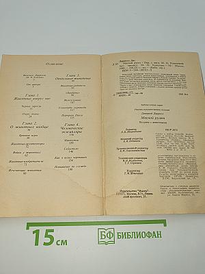 Мясной рулет