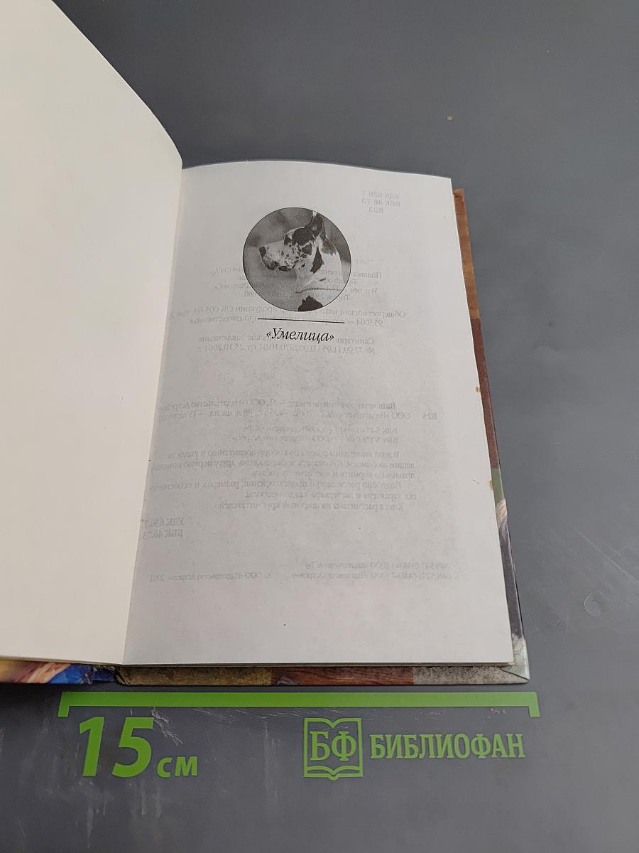 Ваш четвероногий питомец