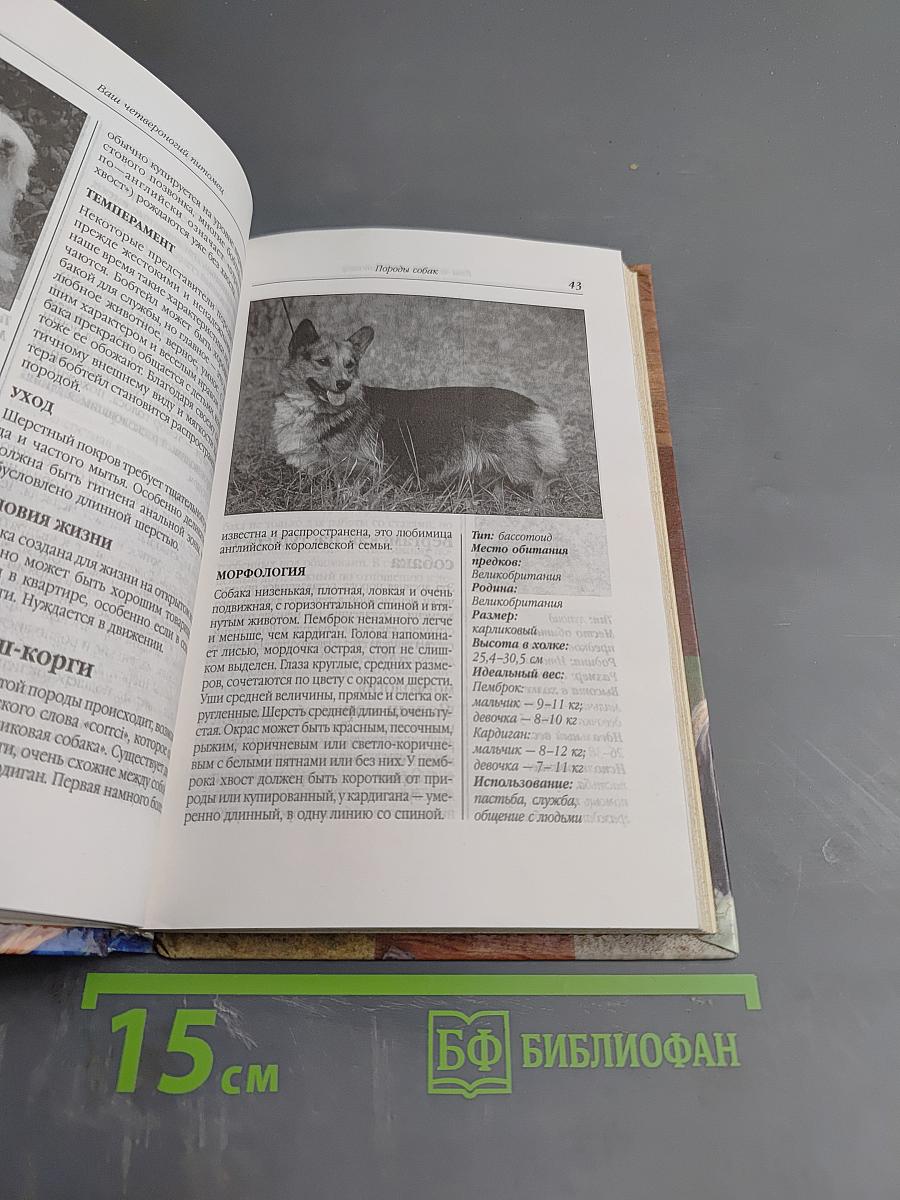 Ваш четвероногий питомец