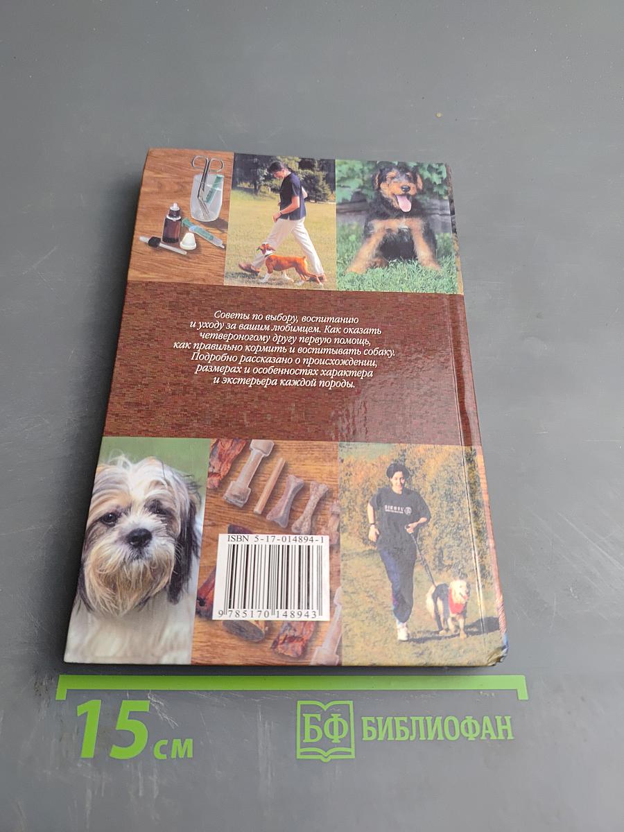 Ваш четвероногий питомец