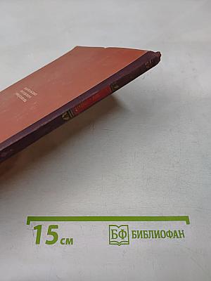 Лекции по истории русской советской литературы. Книга III