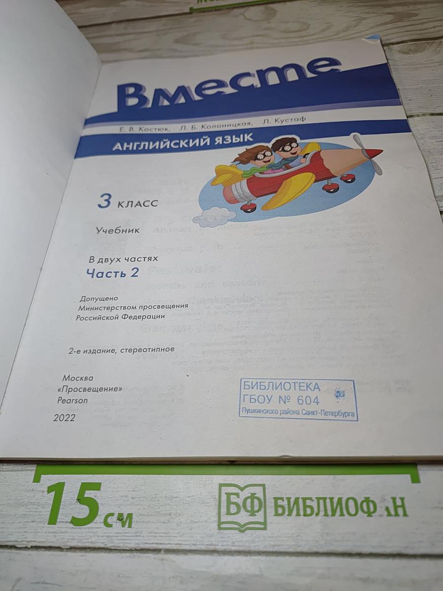 Team Up! Английский язык. 3 класс. Учебник. Часть 2