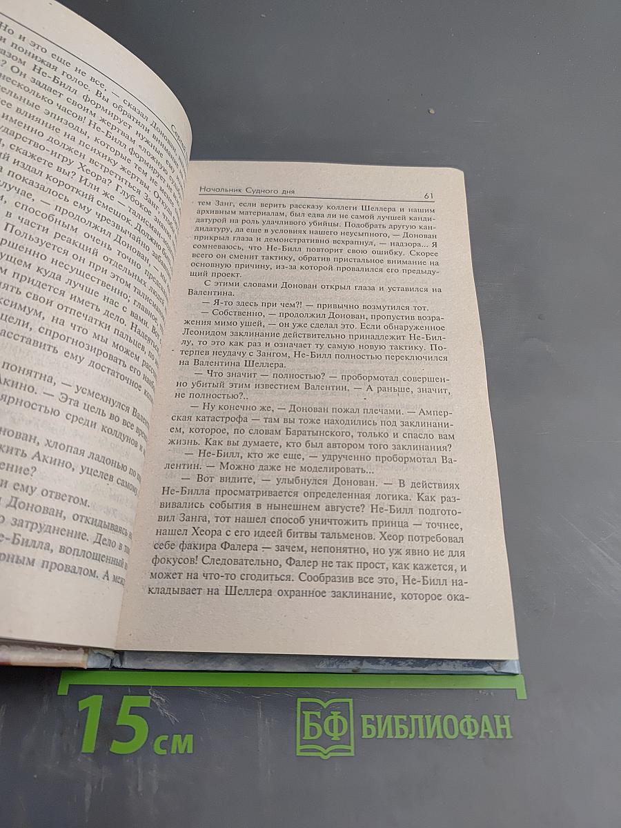 Начальник Судного дня