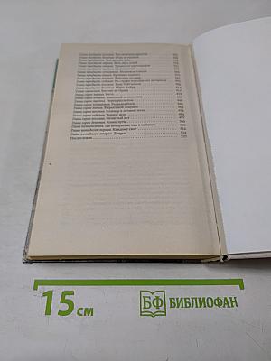 Красный замок