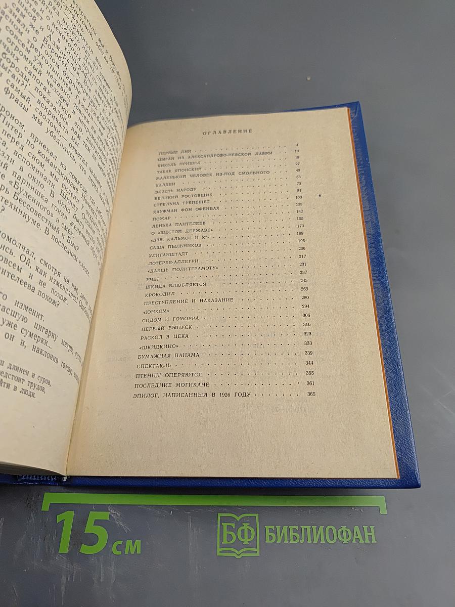 Республика ШКИД