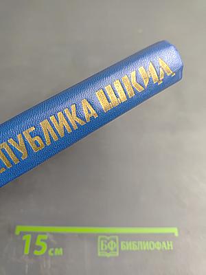 Республика ШКИД