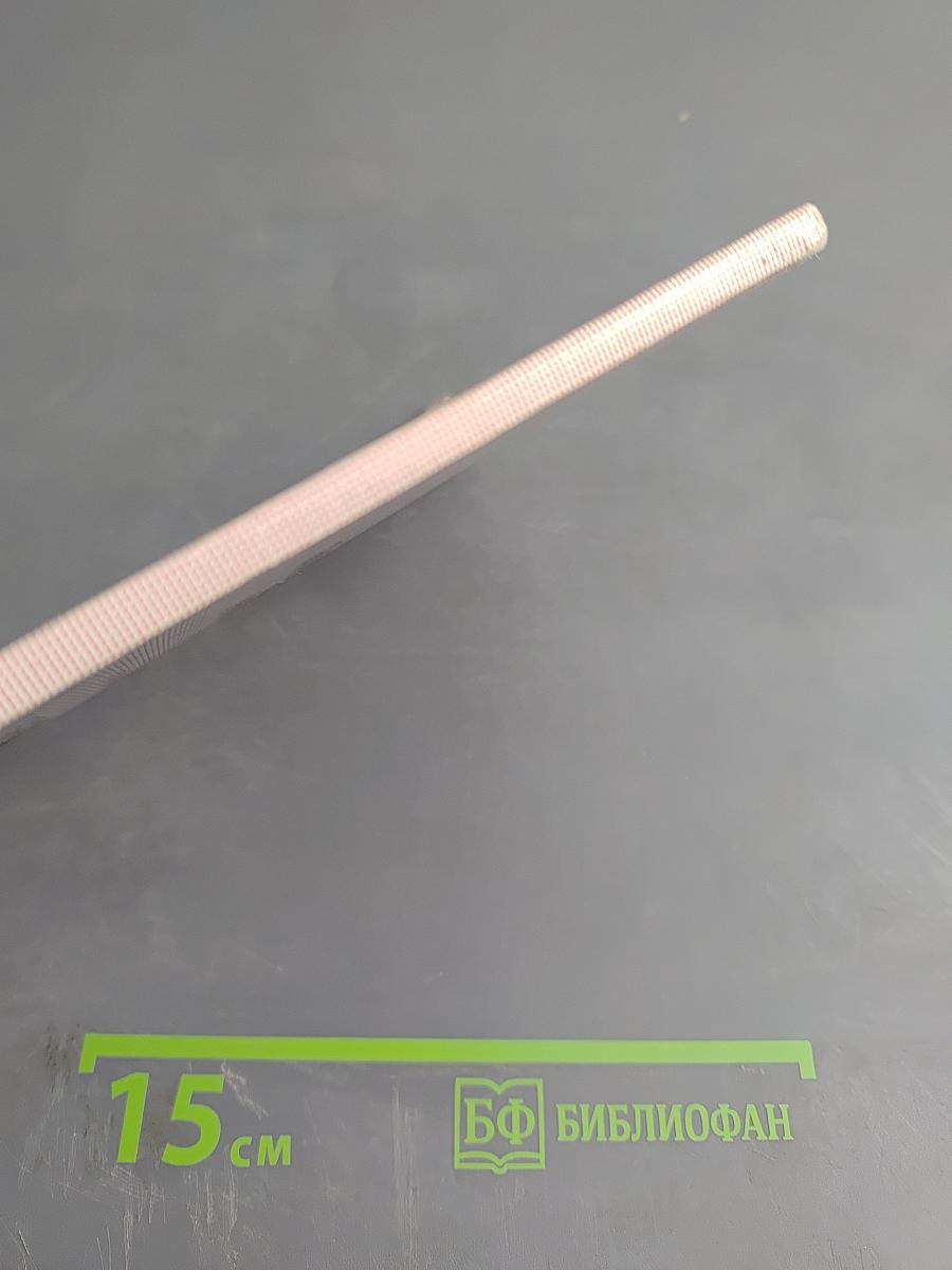 Яков Иванович Ростовцев: Портрет реформатора