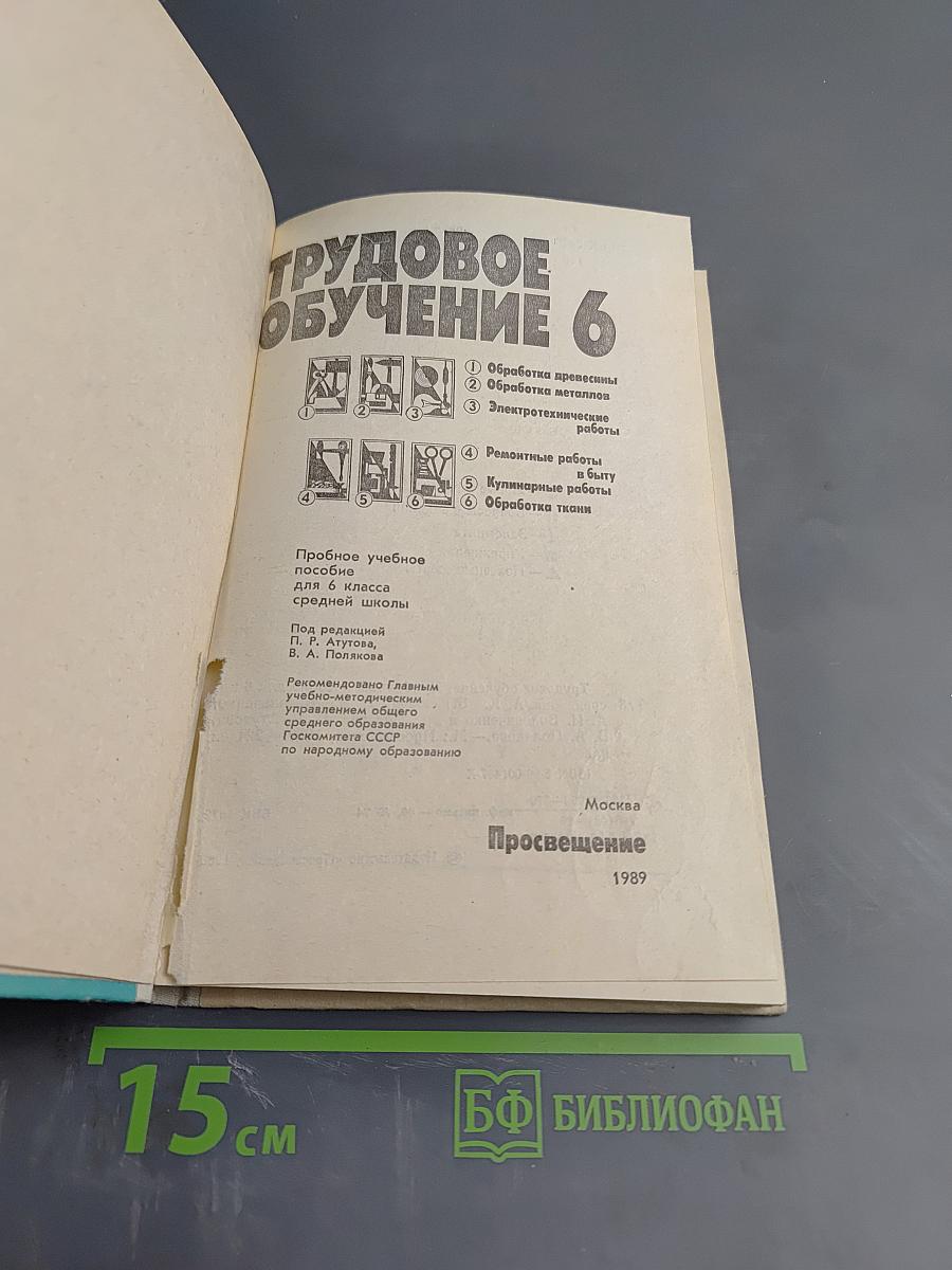 Трудовое обучение 6