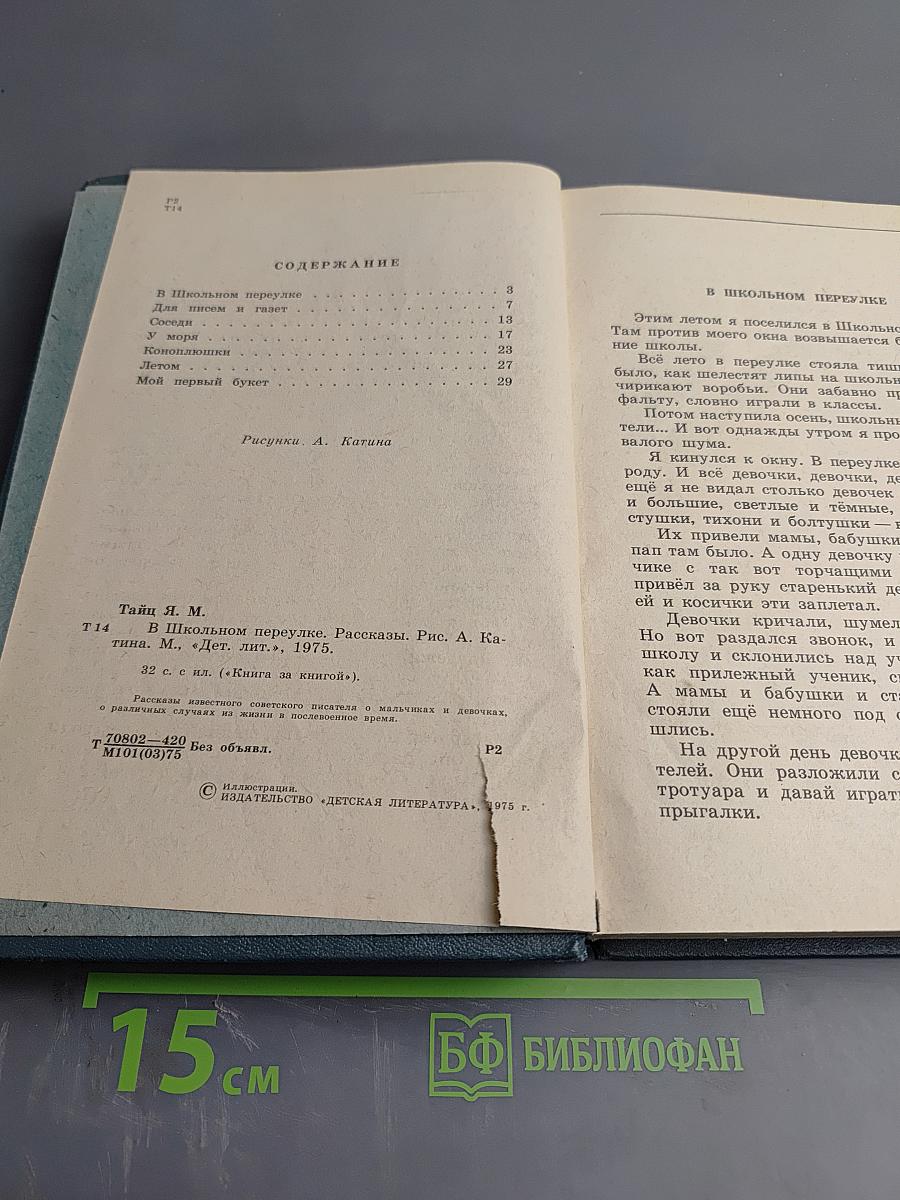 В Школьном переулке