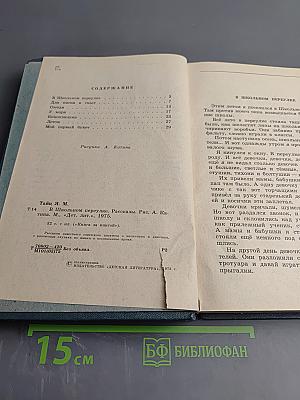 В Школьном переулке