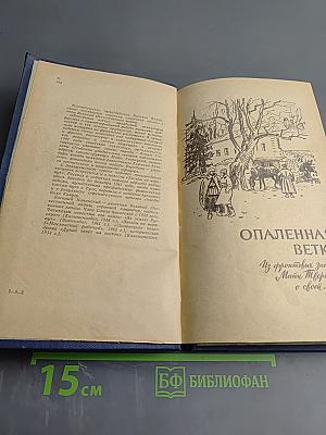 Опаленная ветка