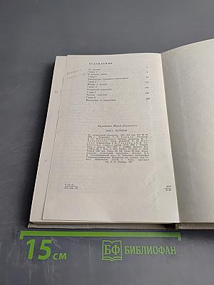 Мера истины