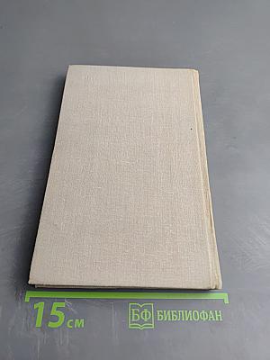 Мера истины