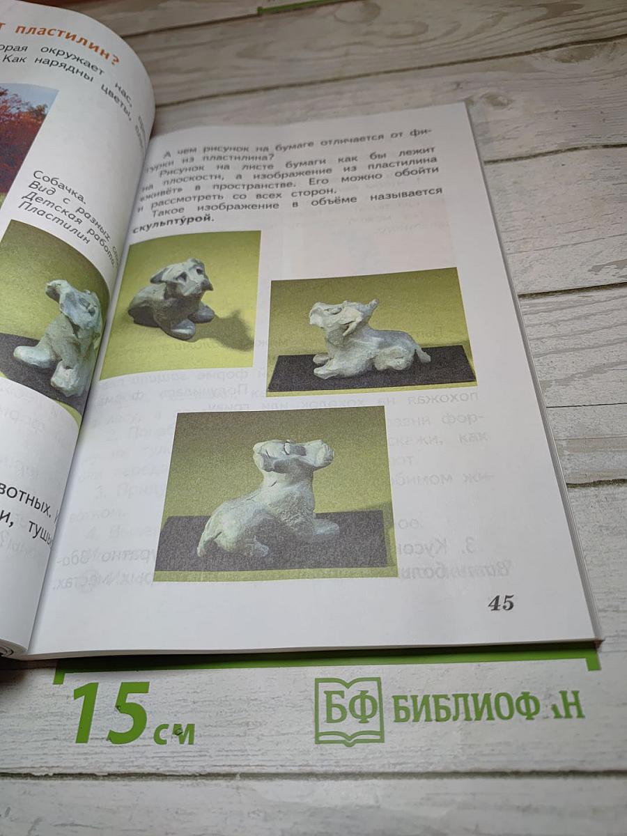 Изобразительное искусство. Искусство и ты. 2 класс