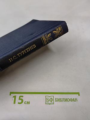 Повести Рудин