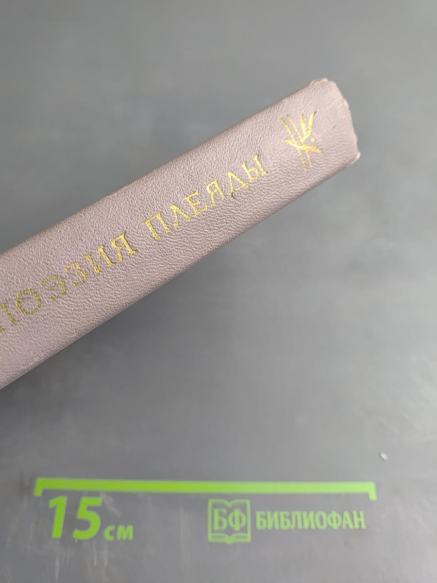 Поэзия Плеяды. Становление литературной школы