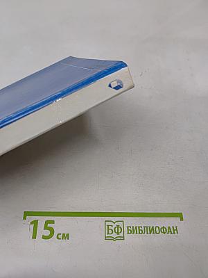 Лермонтов в Петербурге