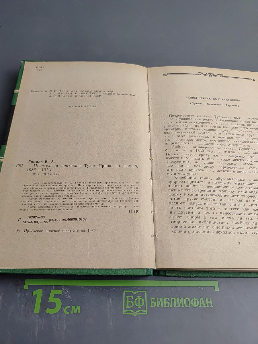 Писатель и критика