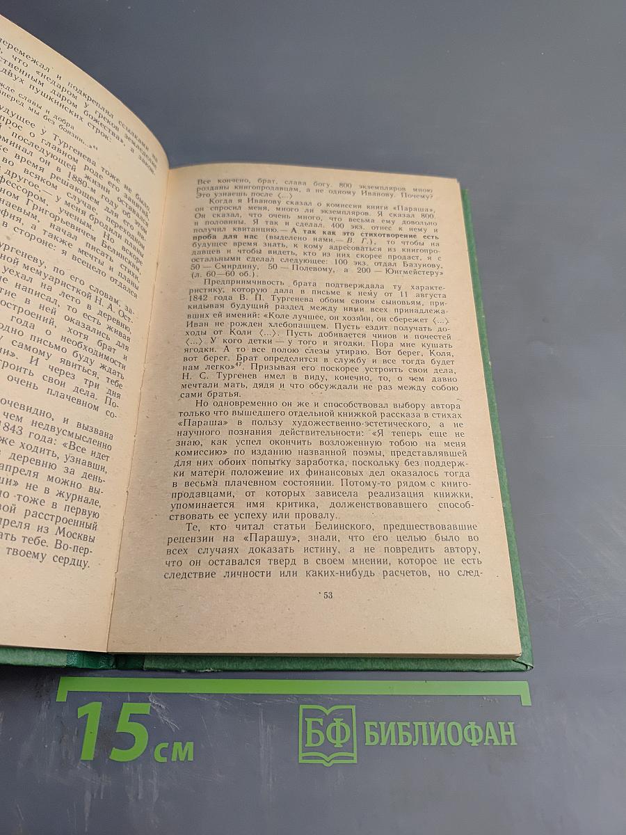 Писатель и критика