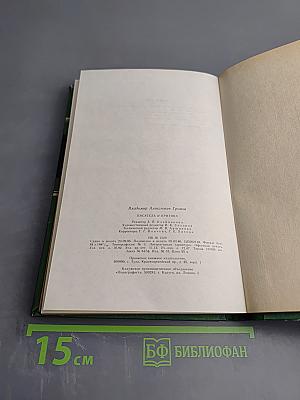 Писатель и критика