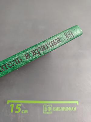 Писатель и критика