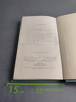 Герой современной литературы