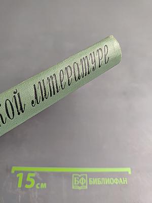 Герой современной литературы