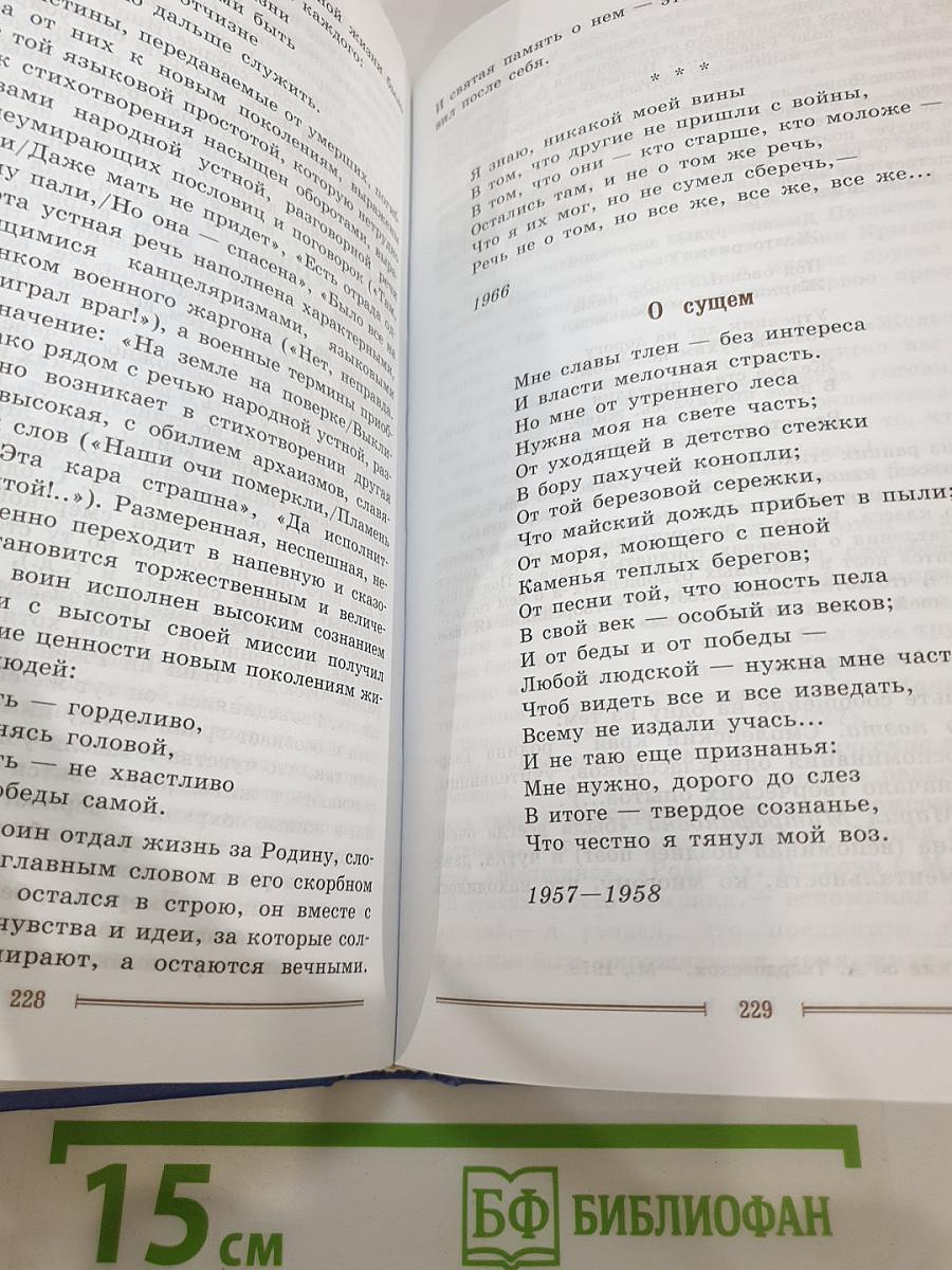 Литература. 9 класс. Часть 2
