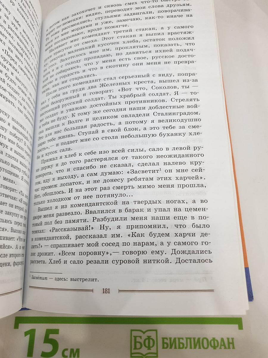 Литература. 9 класс. Часть 2